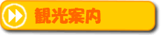 観光案内